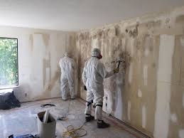 Why You Should Choose Our Mold Remediation Services in Royersford, PA